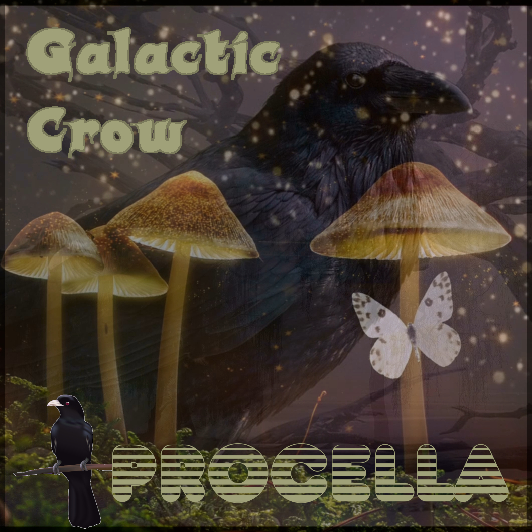 Galactic Crow Vorderseite